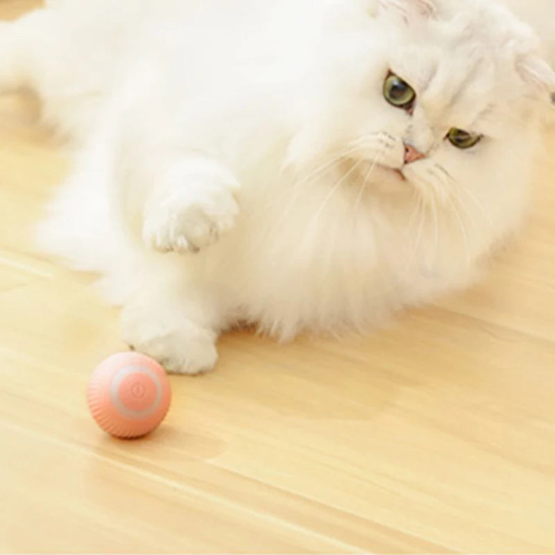 Automatic Moving Cats Toy Interactive Ball Rechargeable Rolling Electric Ball Home Pet Accessories Things for Supplies