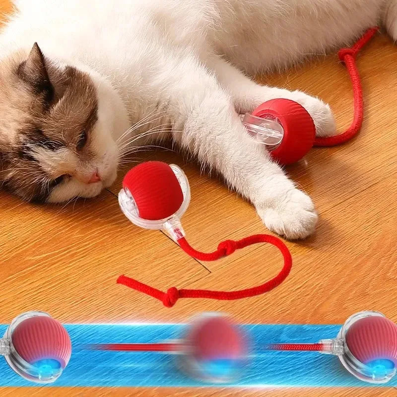 Cat Interactive ball Toy, Automatic Rolling Ball with Tail, Rechargeable Smart Pet Interactive Toy, Intelligent toy for Cat