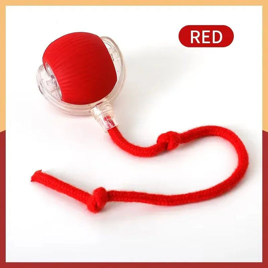 Cat Interactive ball Toy, Automatic Rolling Ball with Tail, Rechargeable Smart Pet Interactive Toy, Intelligent toy for Cat