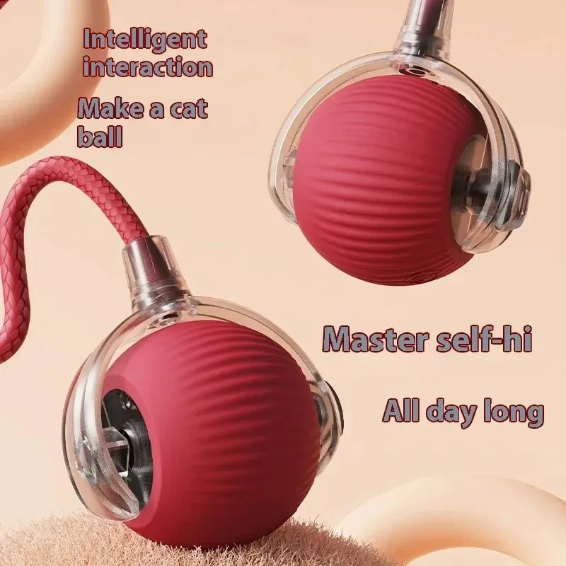 Cat Interactive ball Toy, Automatic Rolling Ball with Tail, Rechargeable Smart Pet Interactive Toy, Intelligent toy for Cat