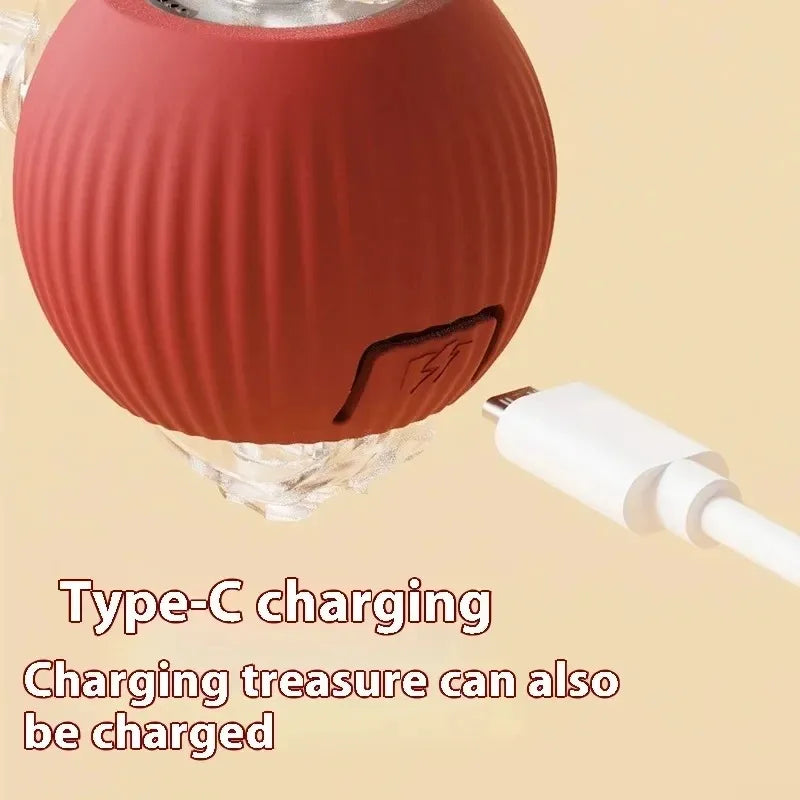 Cat Interactive ball Toy, Automatic Rolling Ball with Tail, Rechargeable Smart Pet Interactive Toy, Intelligent toy for Cat
